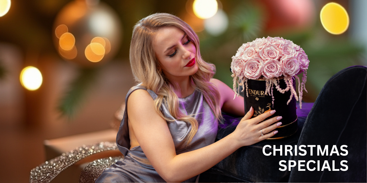 Endura christmas special gifts 