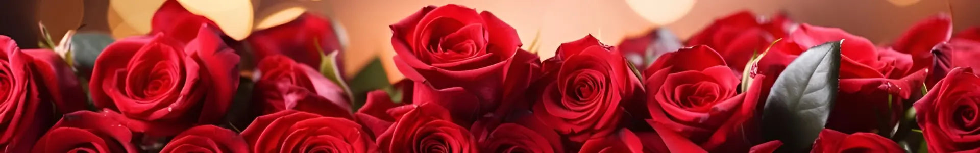 Beautifully preserved roses for you in UK, Europe 