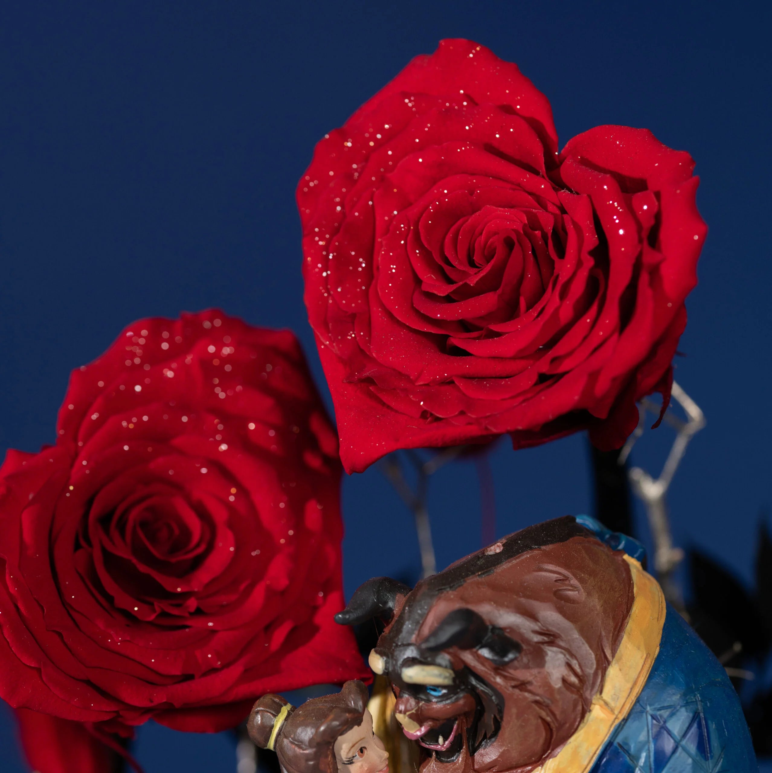 Every Beauty needs her Beast