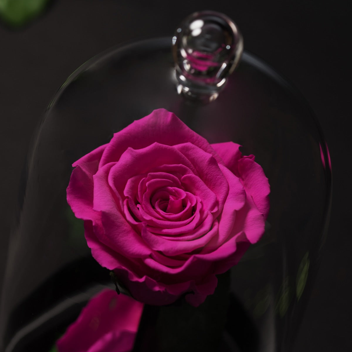 Beauty