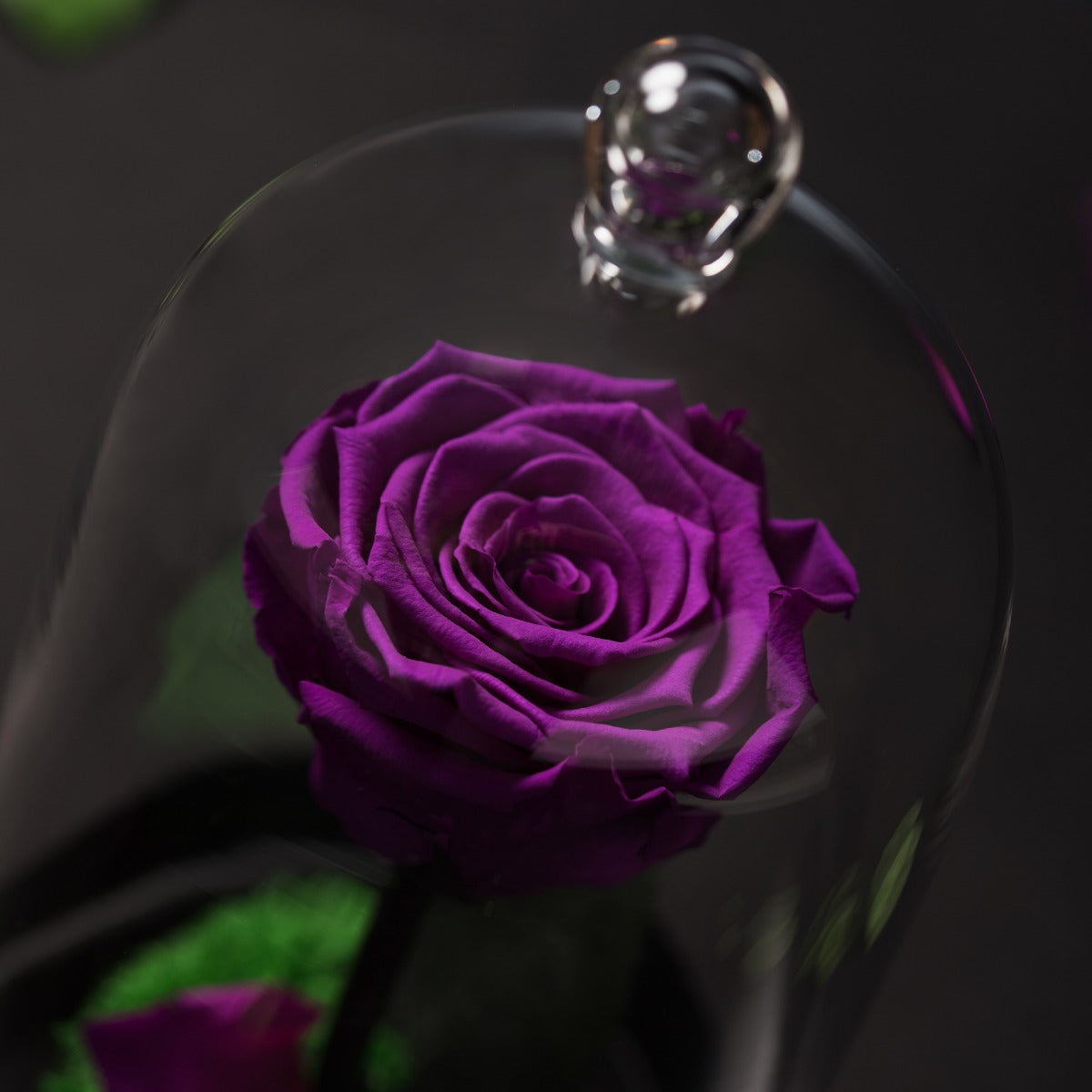 Beauty