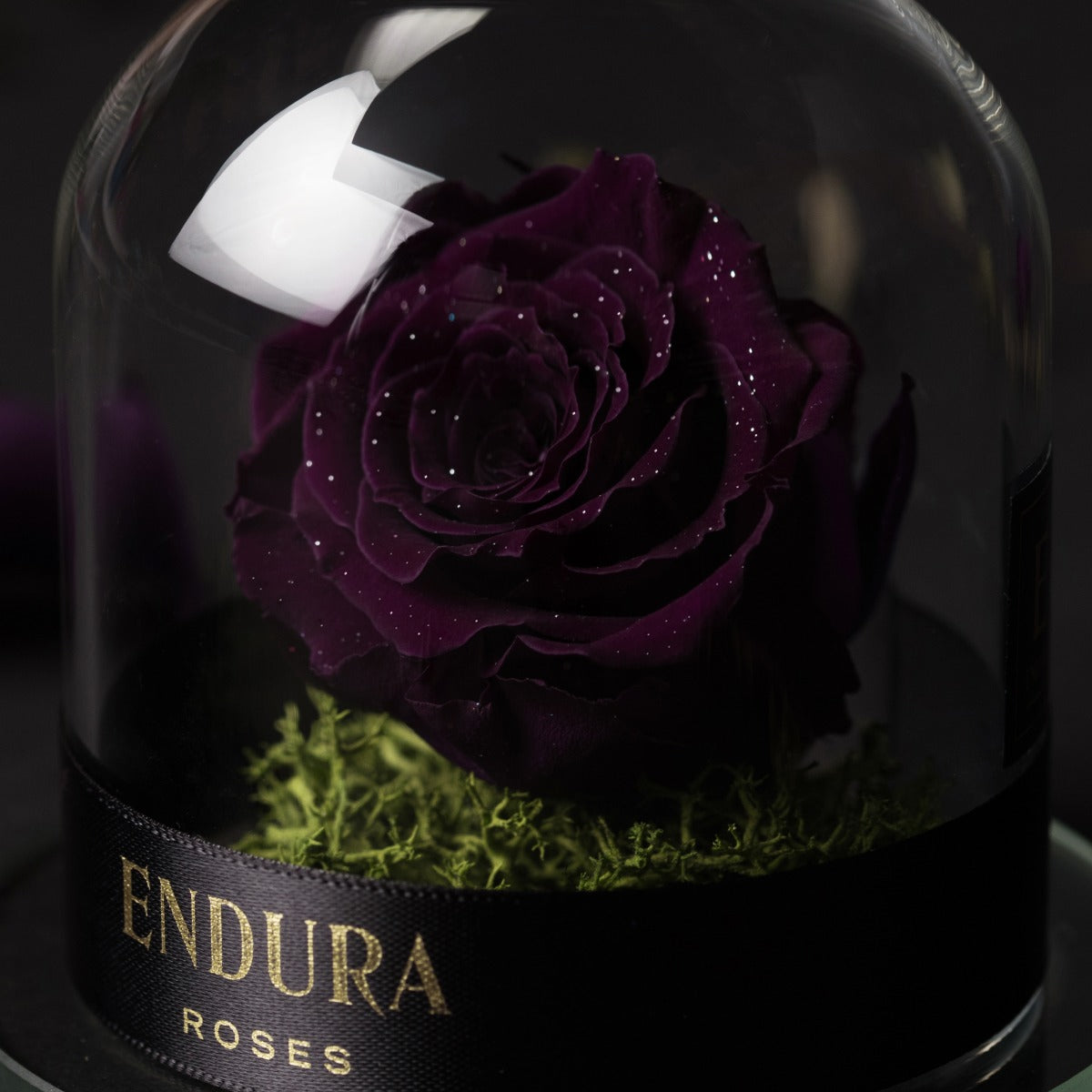 Eternal
