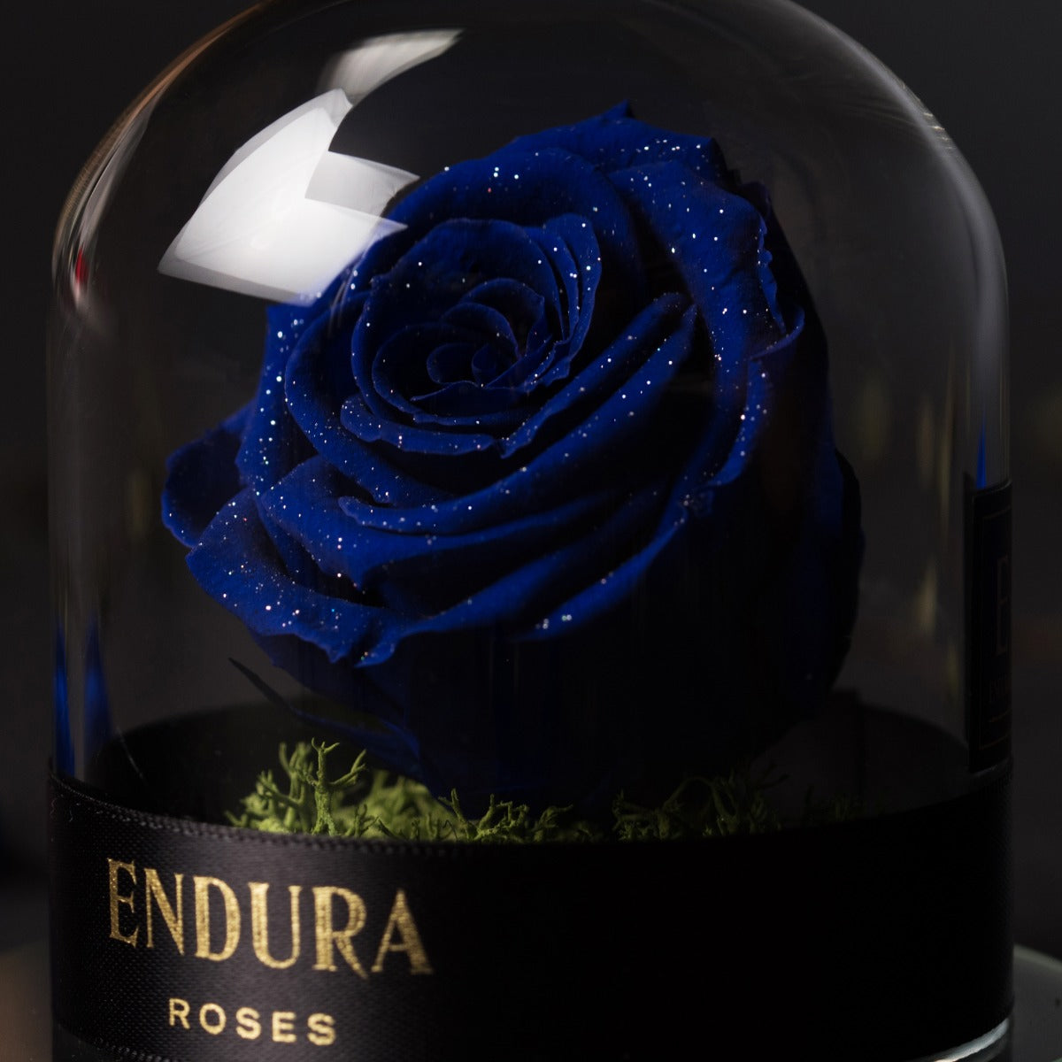 Eternal