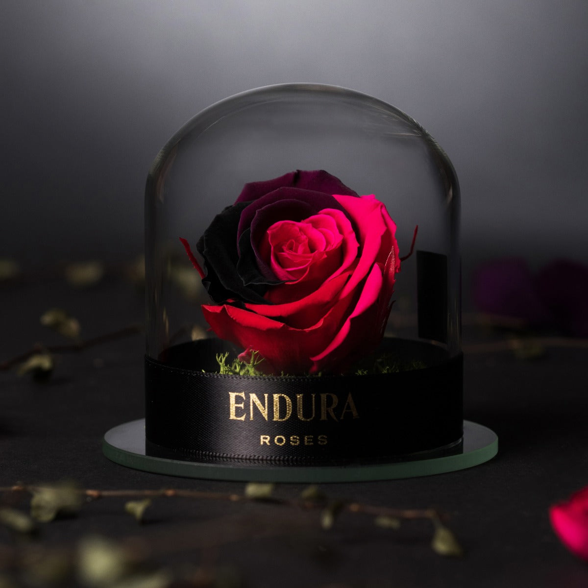 Eternal