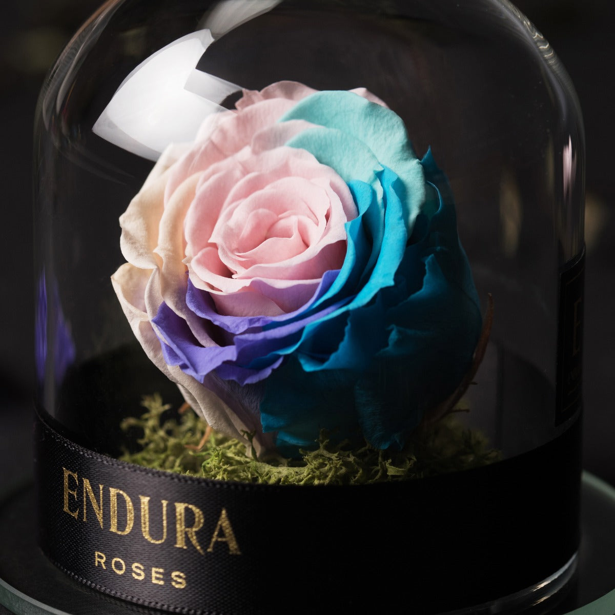 Eternal