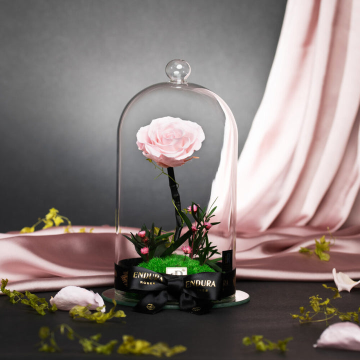 Endura Roses | The UK’s Top Floral Brand for Forever Roses
