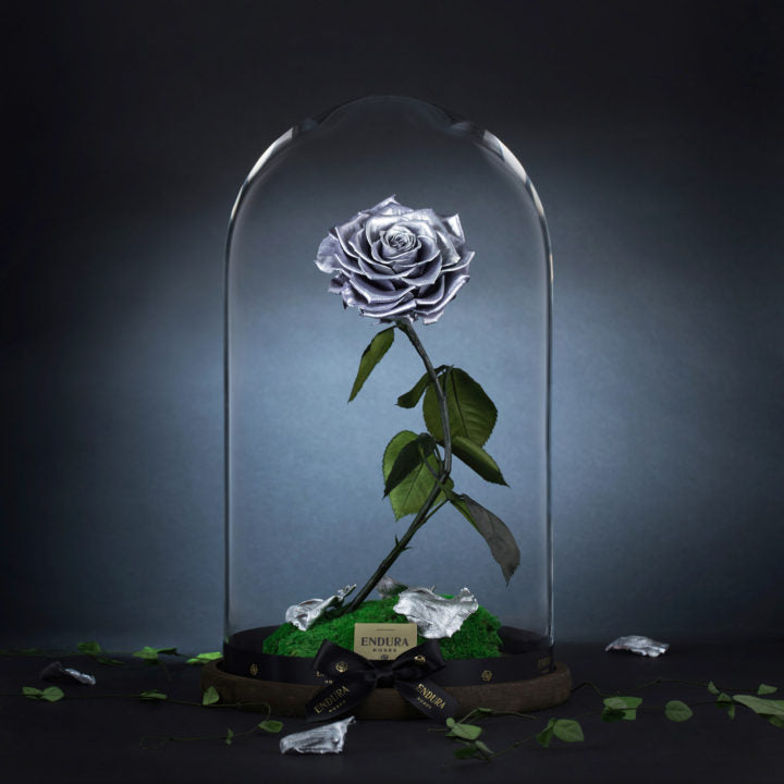 Enchantment