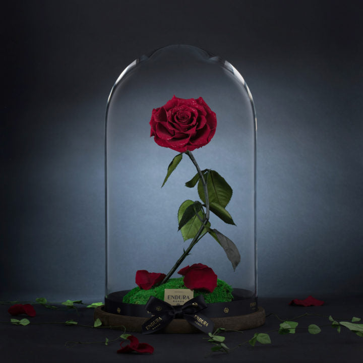 Enchantment