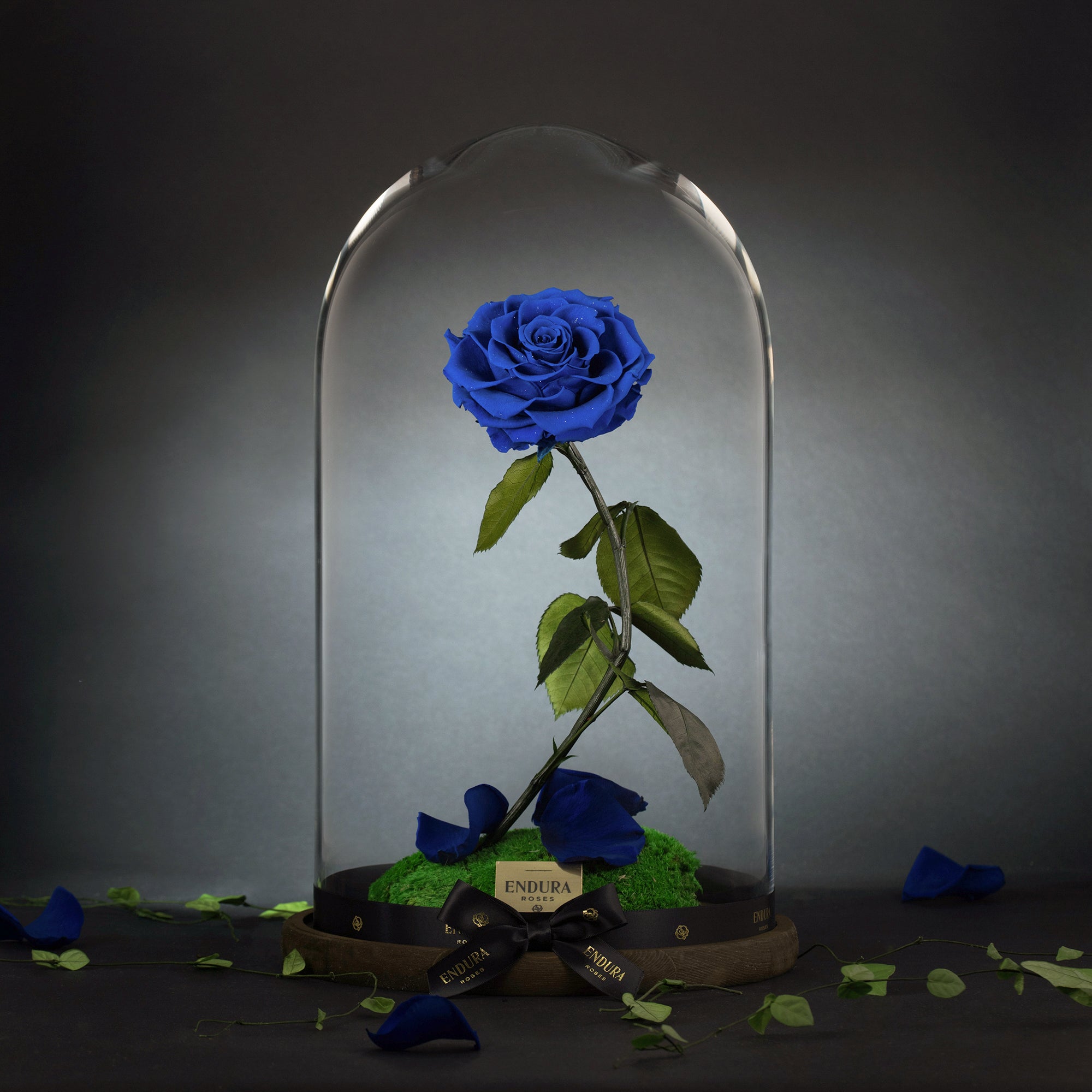 Enchantment
