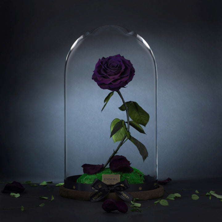 Enchantment