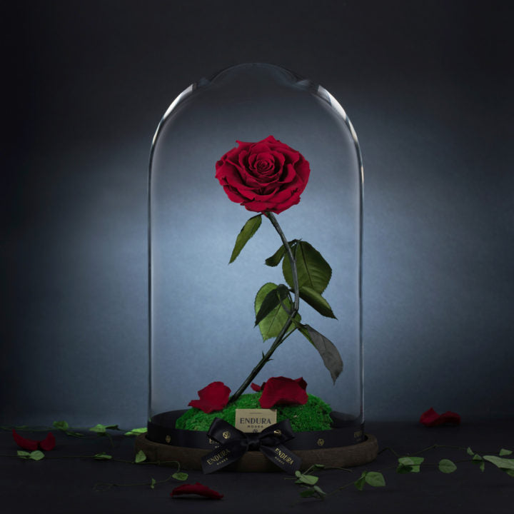 Enchantment