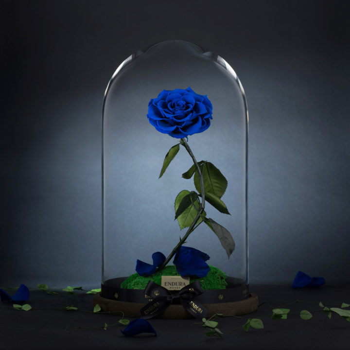Enchantment
