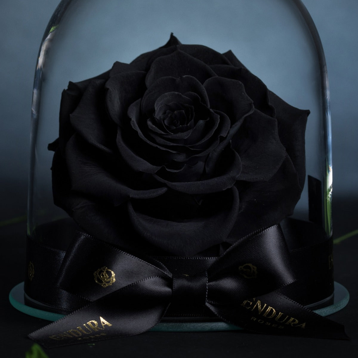 Eternal