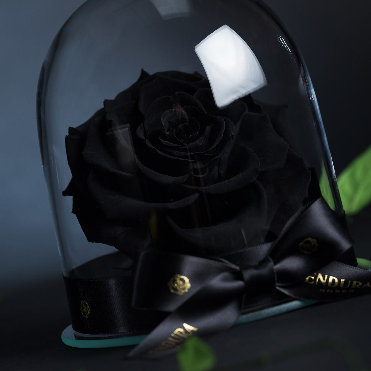 Eternal