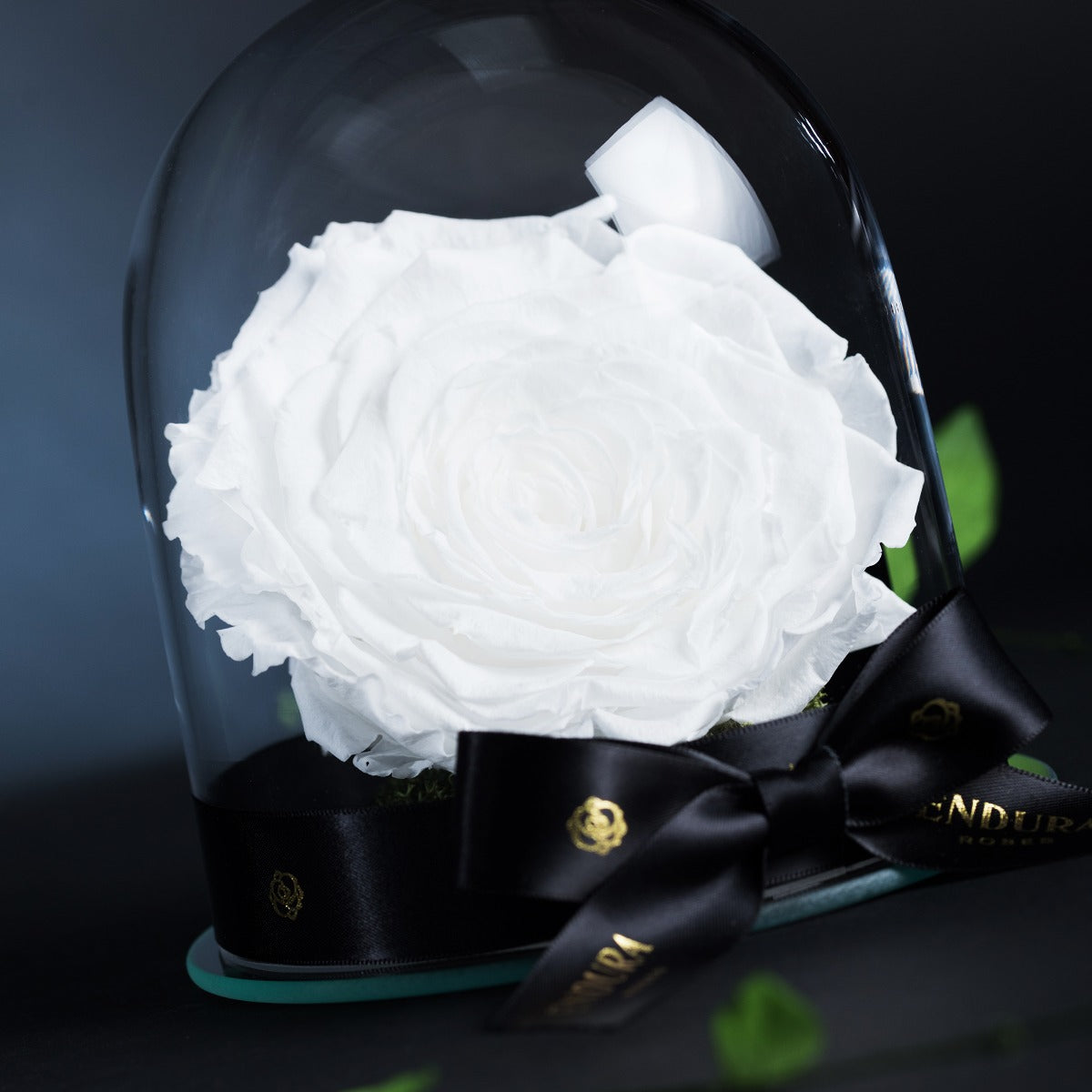 Eternal