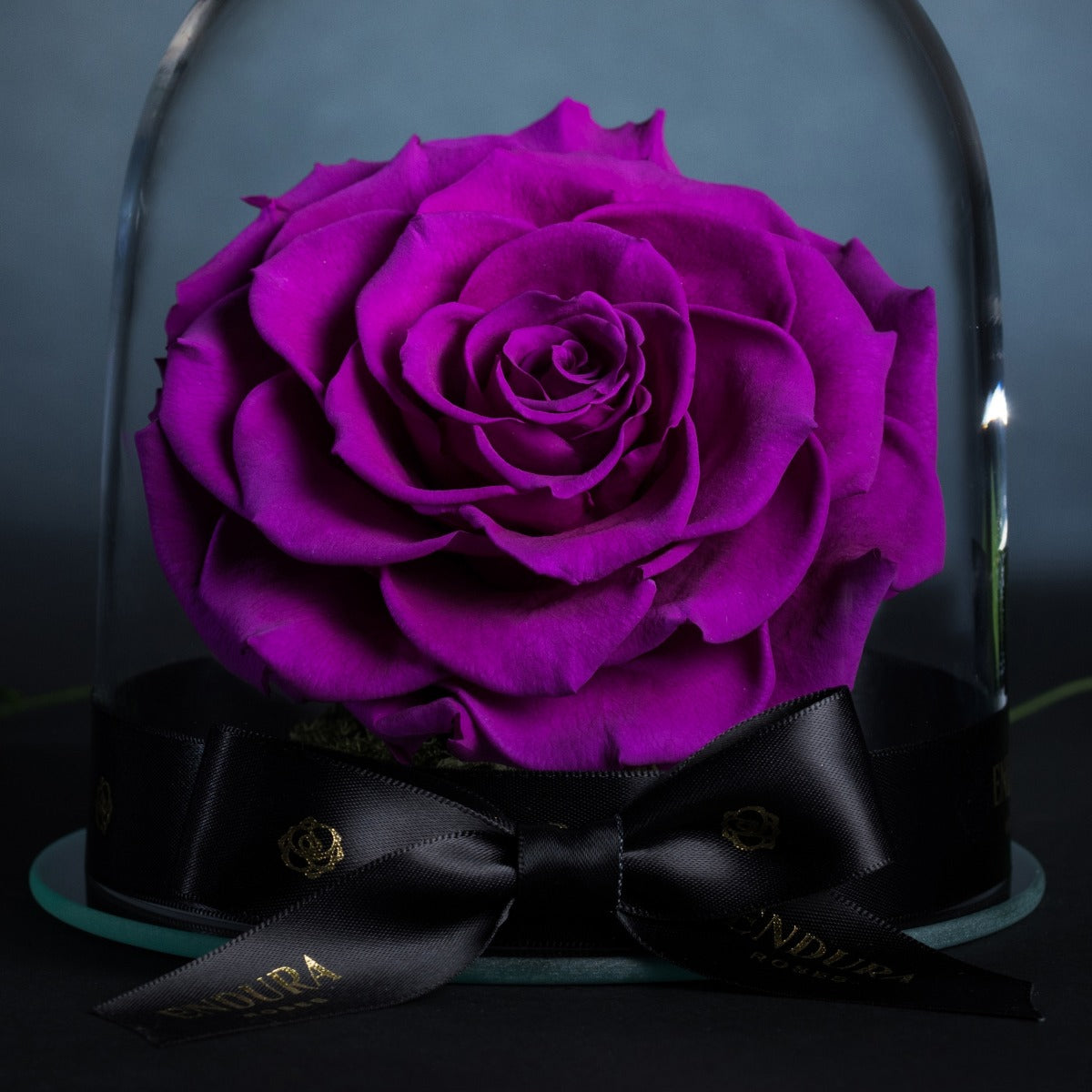 Eternal