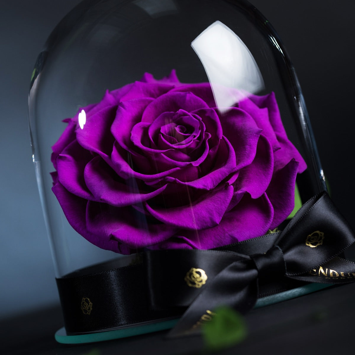 Eternal