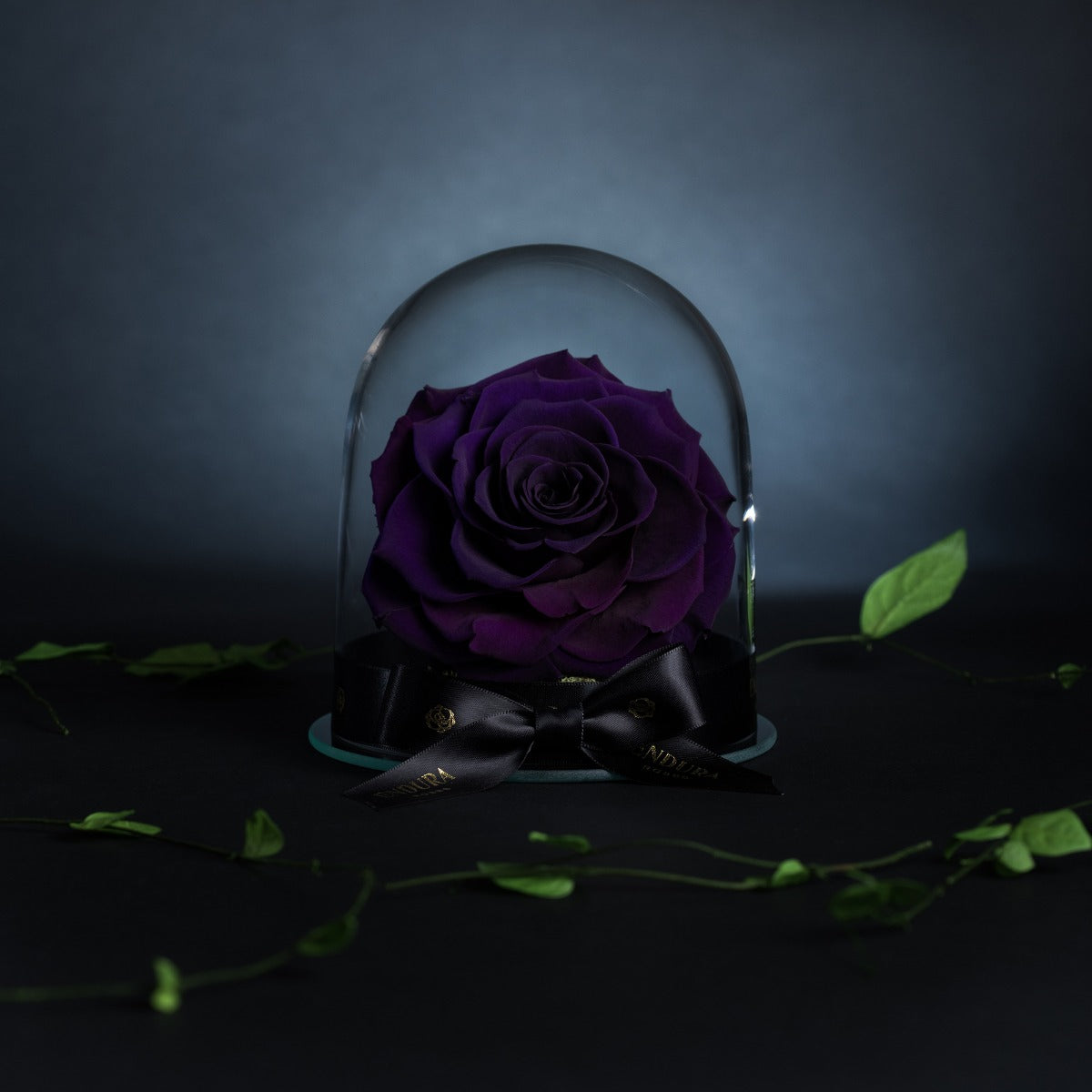 Eternal