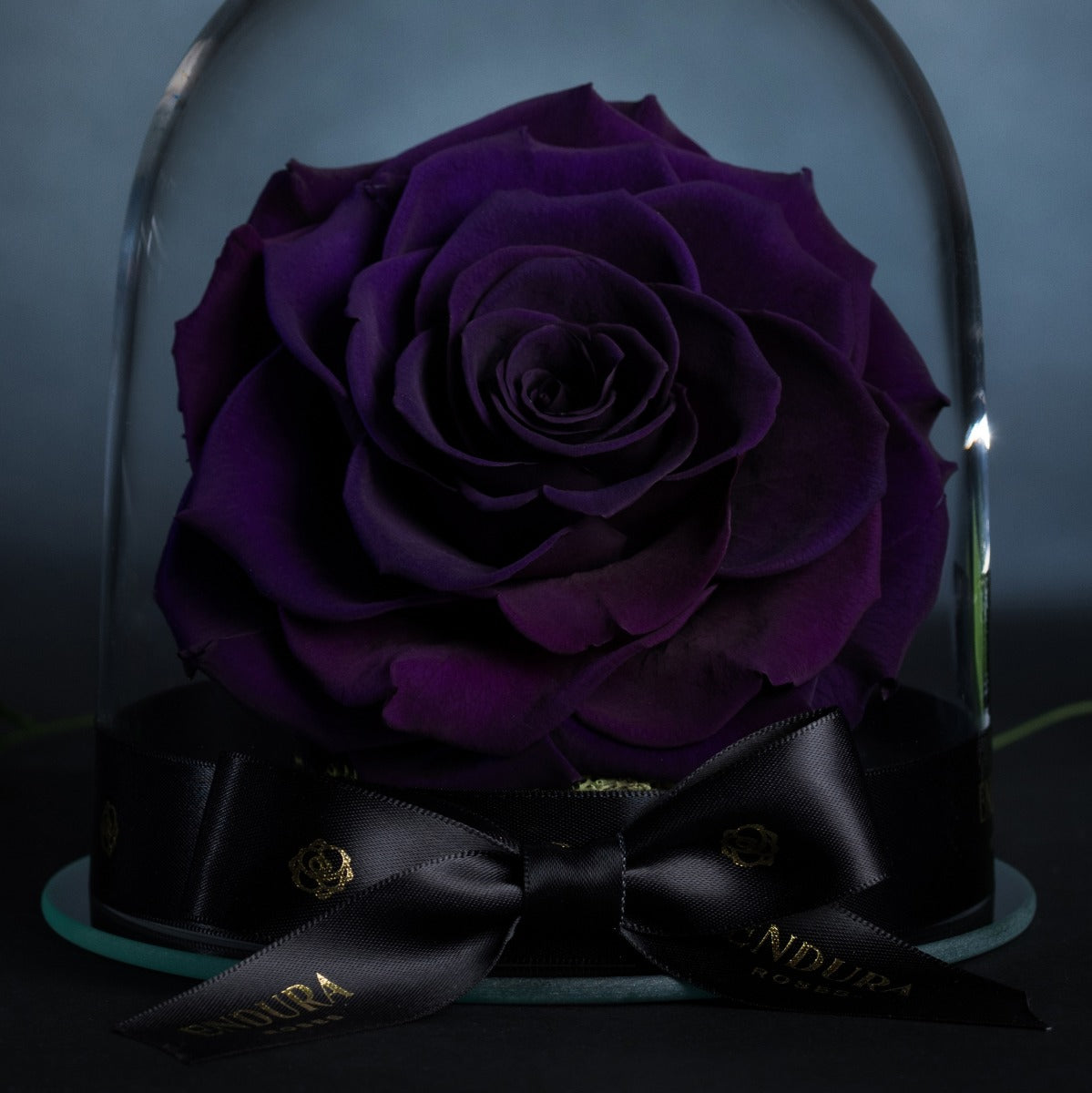 Eternal