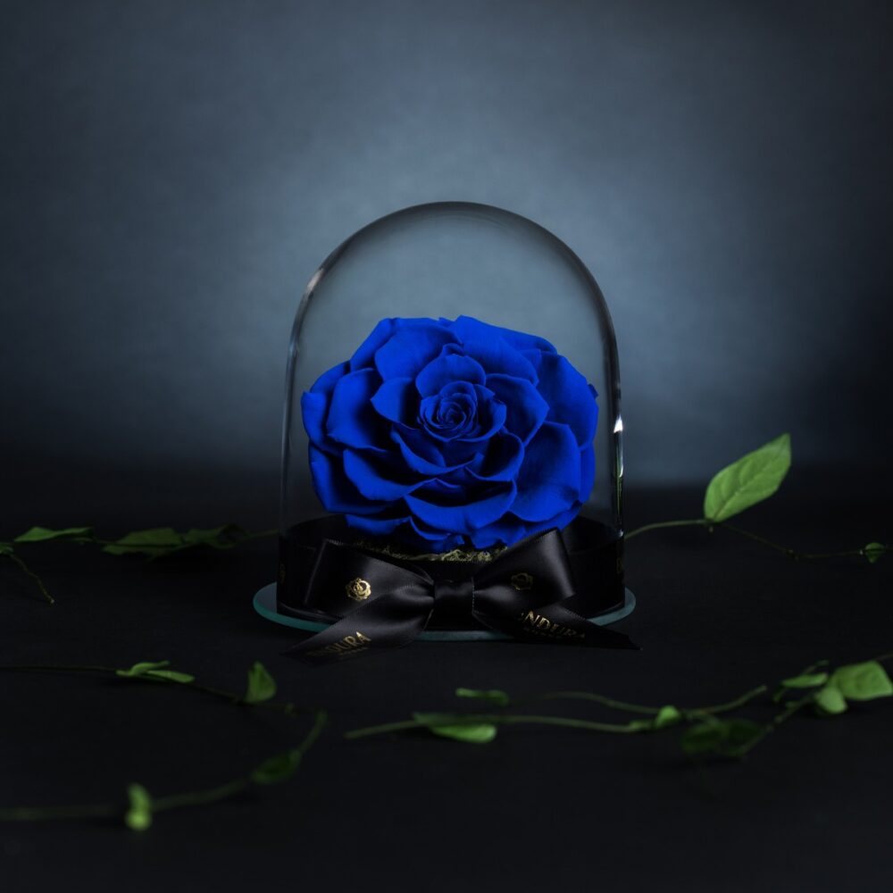Eternal