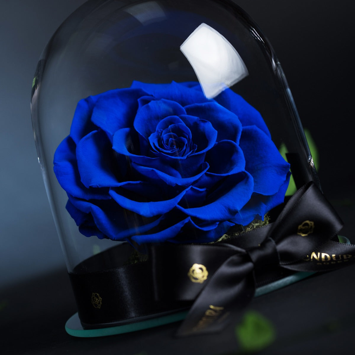 Eternal