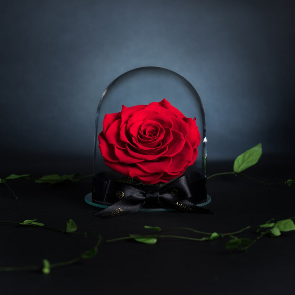 Presentation of vibrant pink rose dome held by person in coat