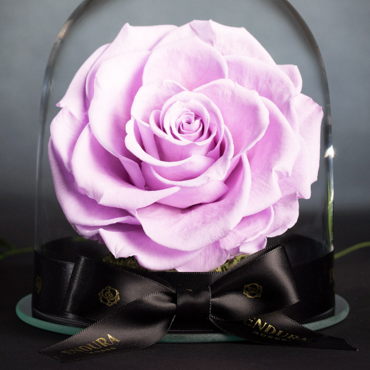 Eternal