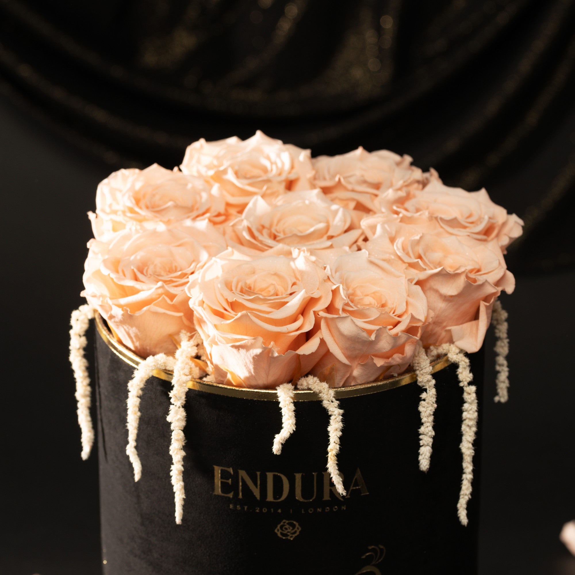 Bloom Box