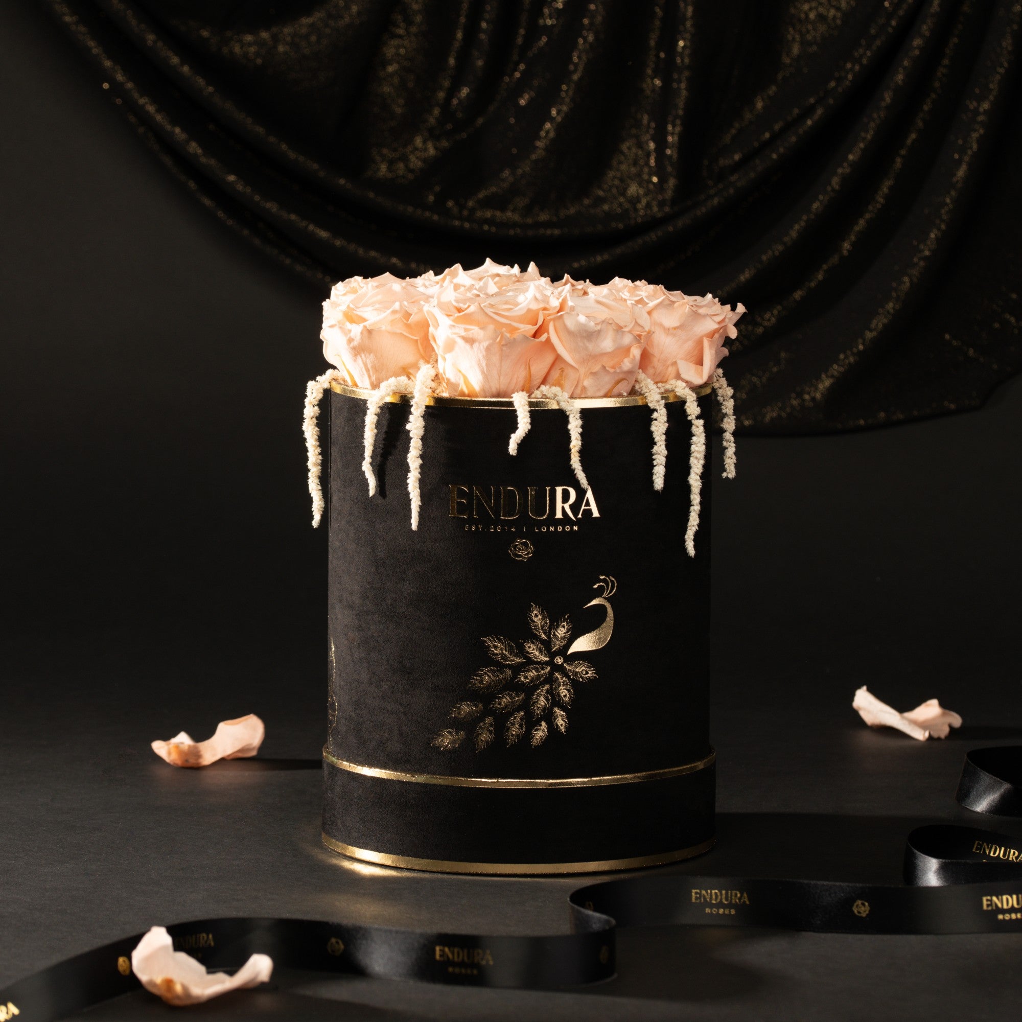 Bloom Box