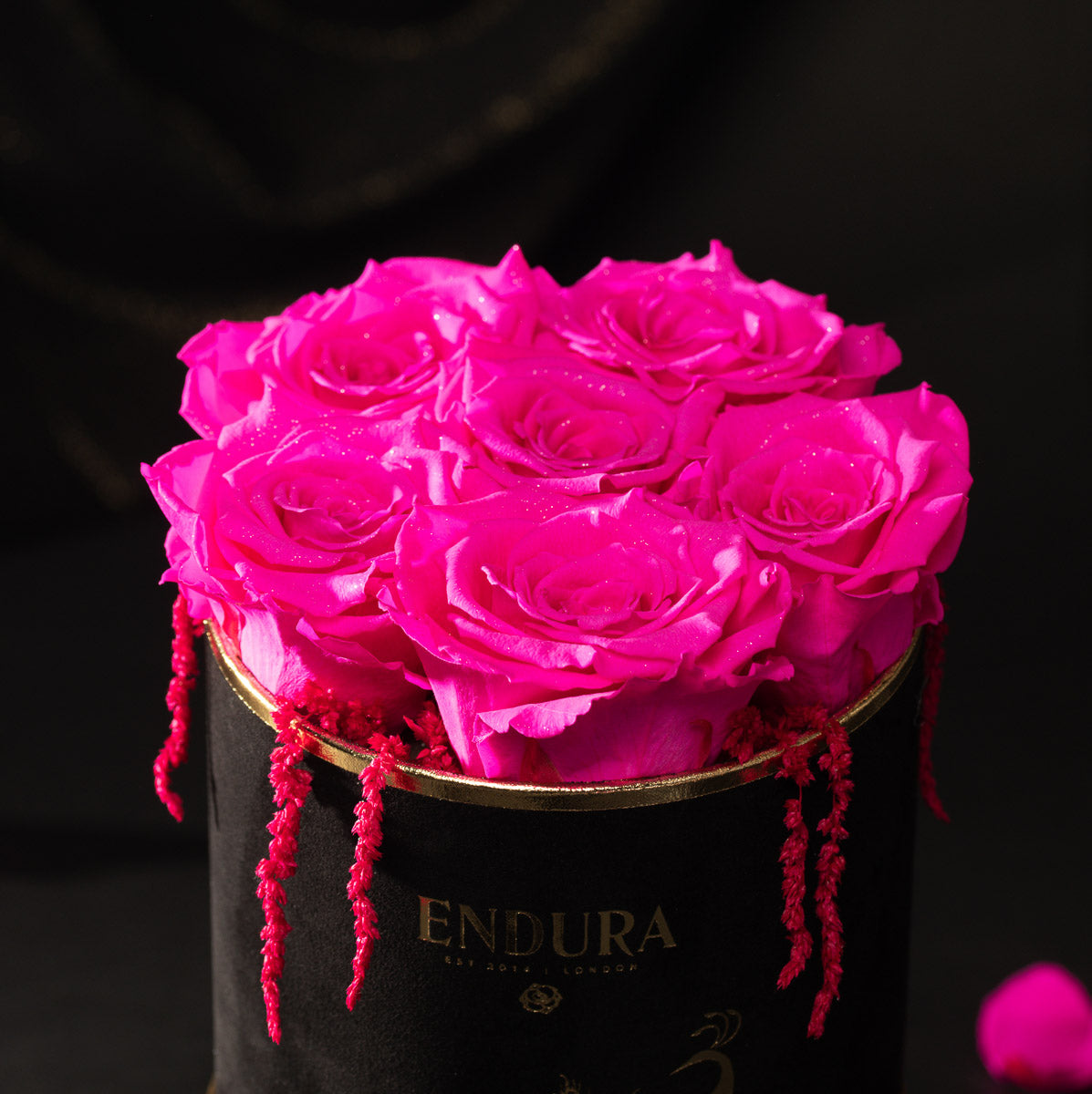 Bloom Box