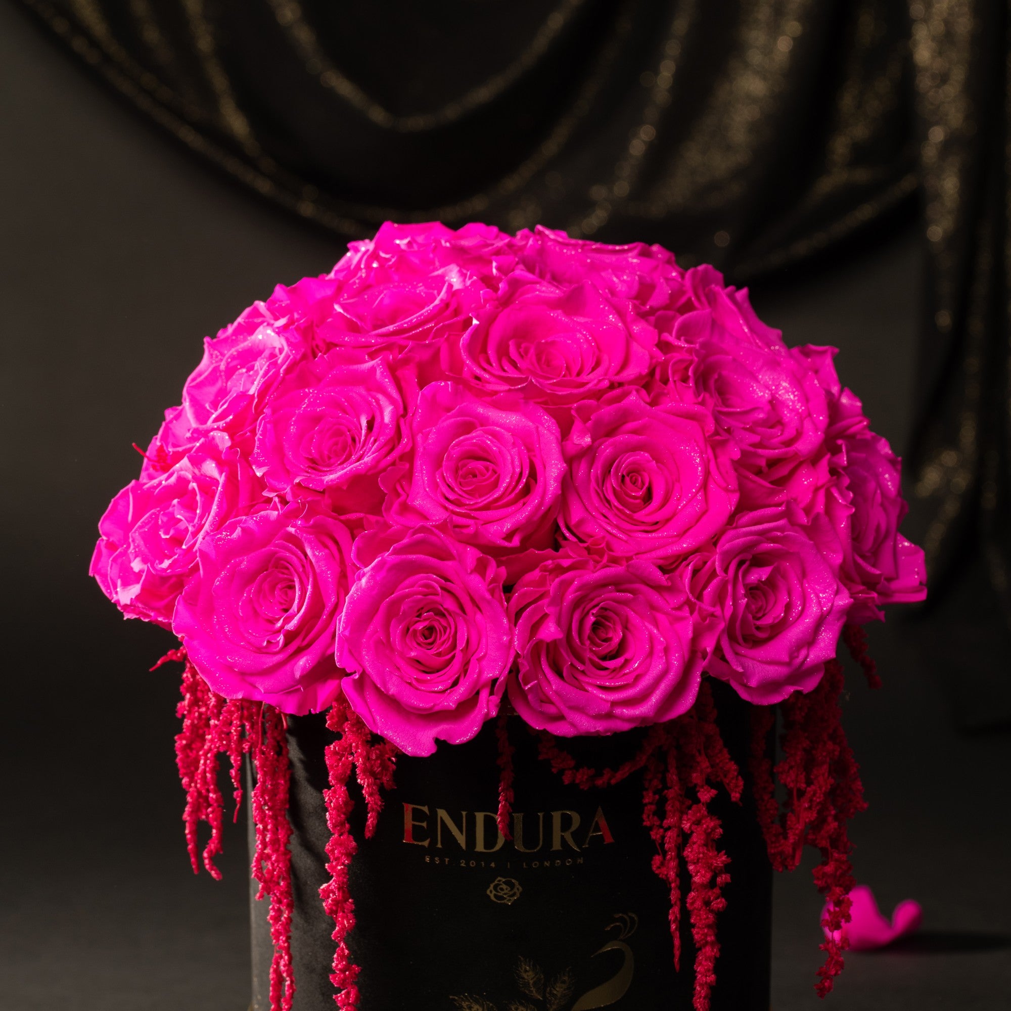 Bloom Box