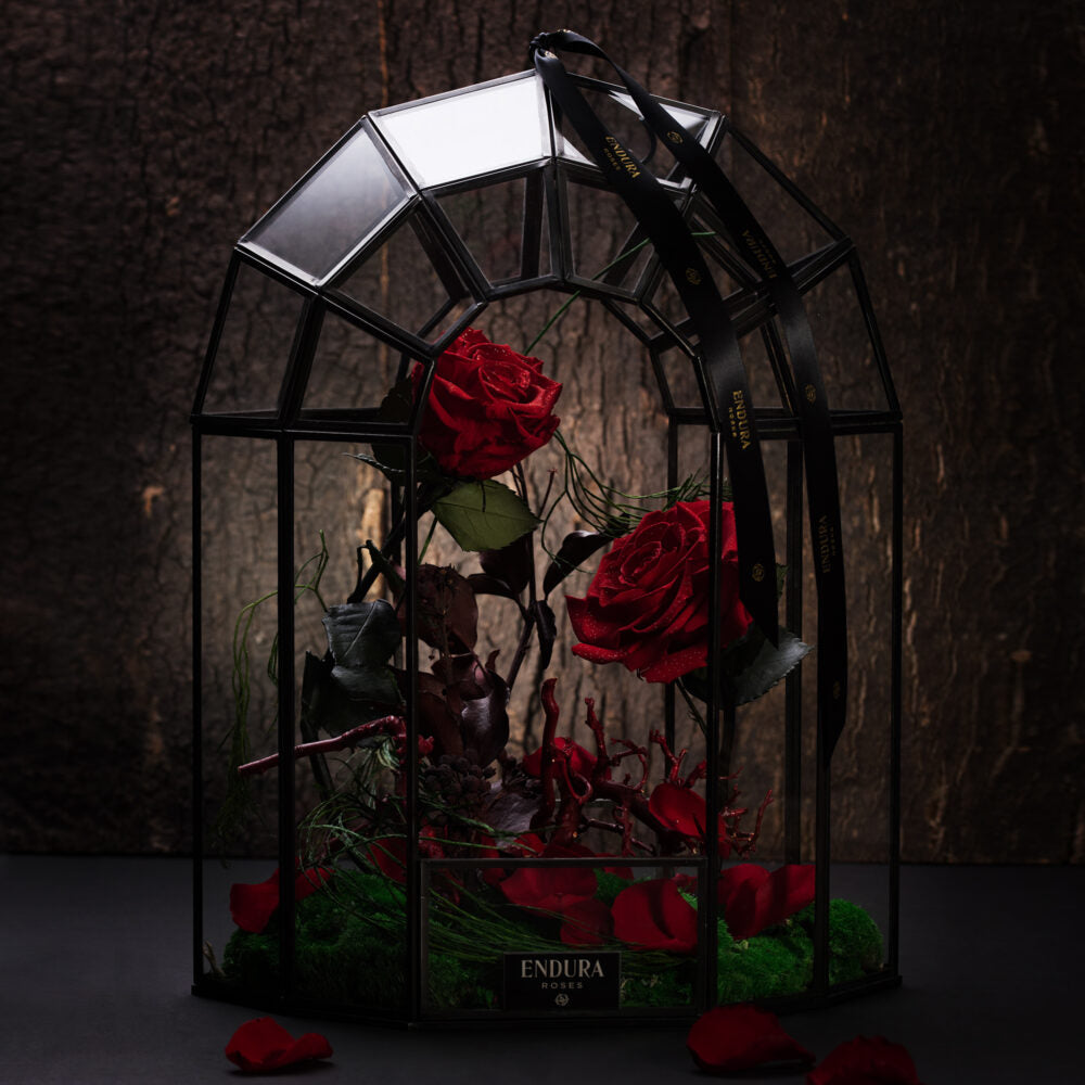 Editorial holiday interior showcasing Endura Rose presentation