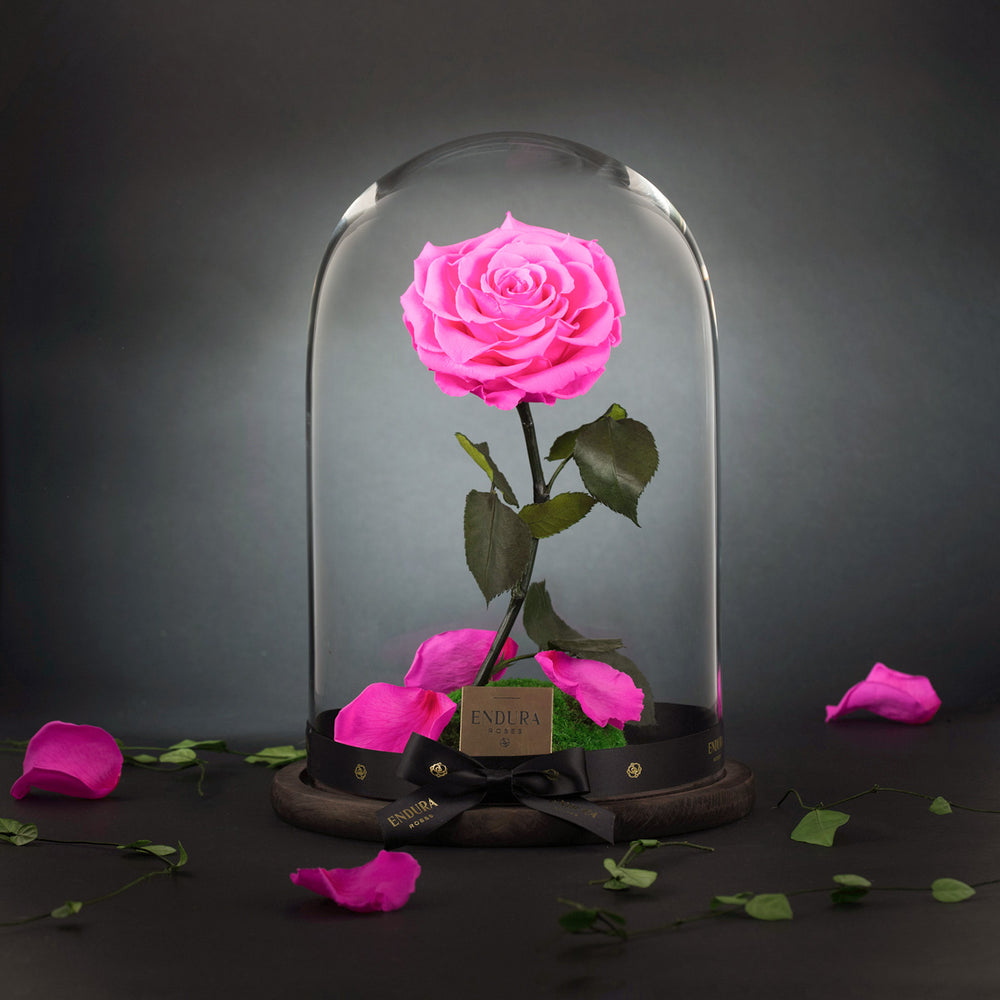 Suspended glass orb presentation of preserved flower