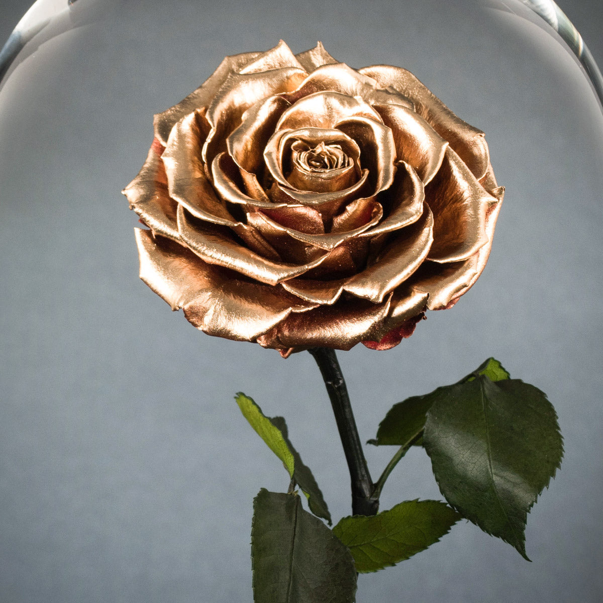 Enchantment
