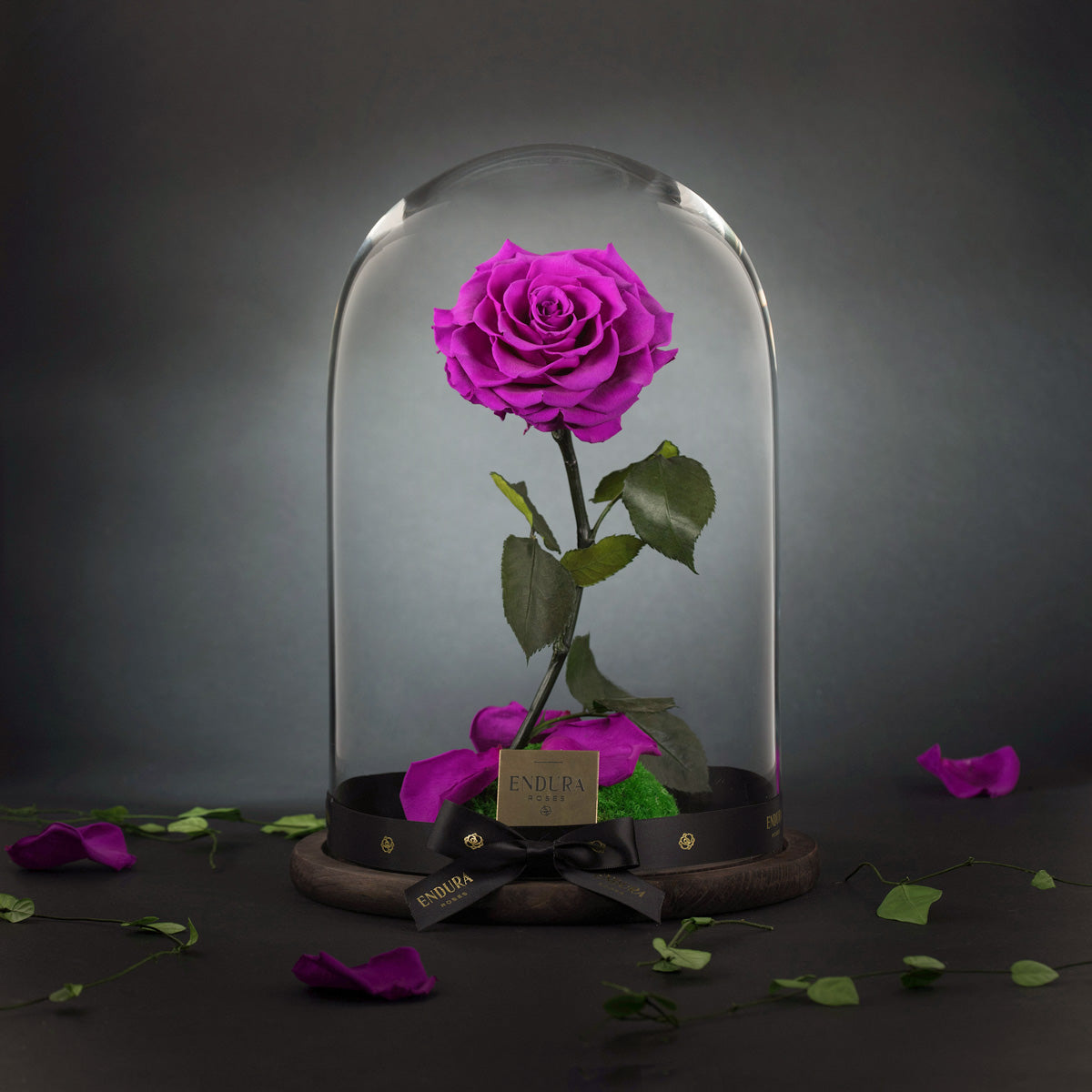Enchantment