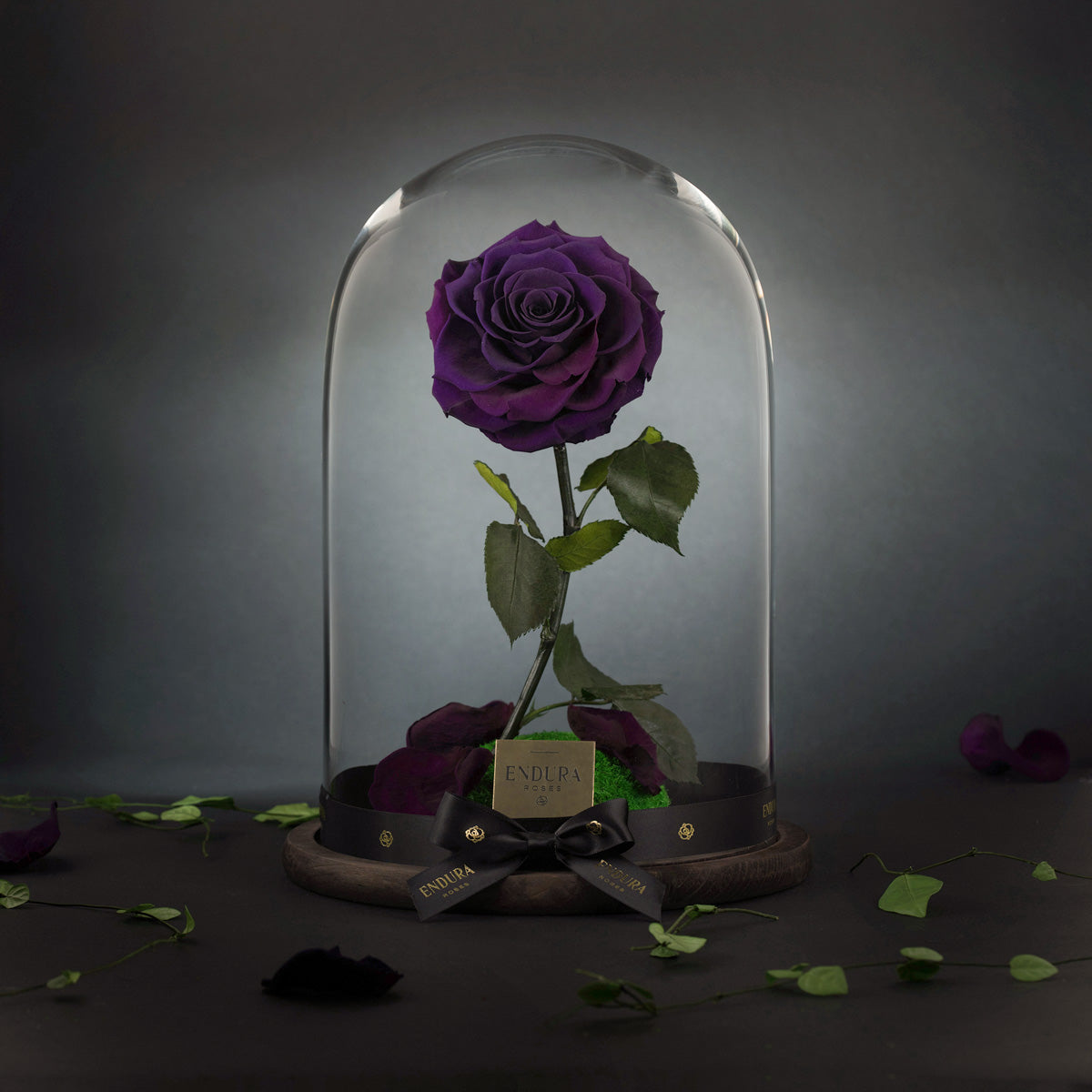 Enchantment