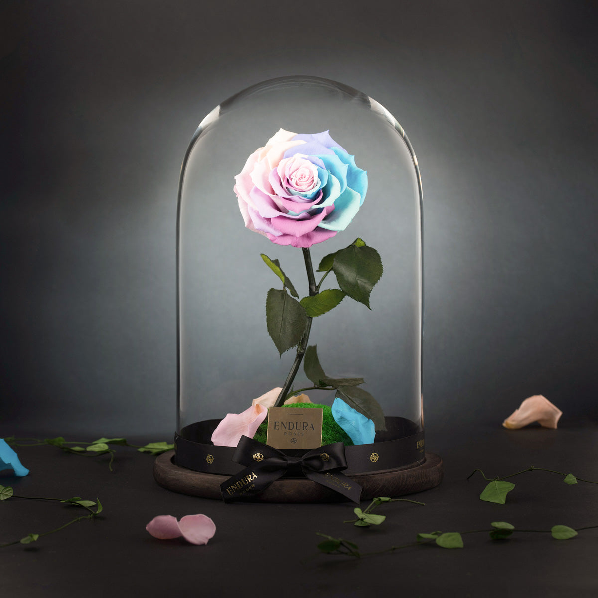 Enchantment