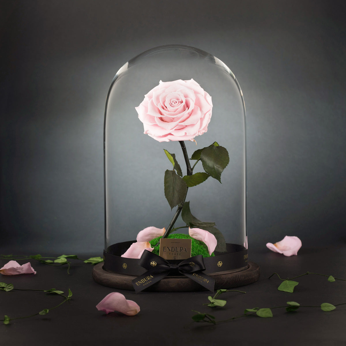 Enchantment