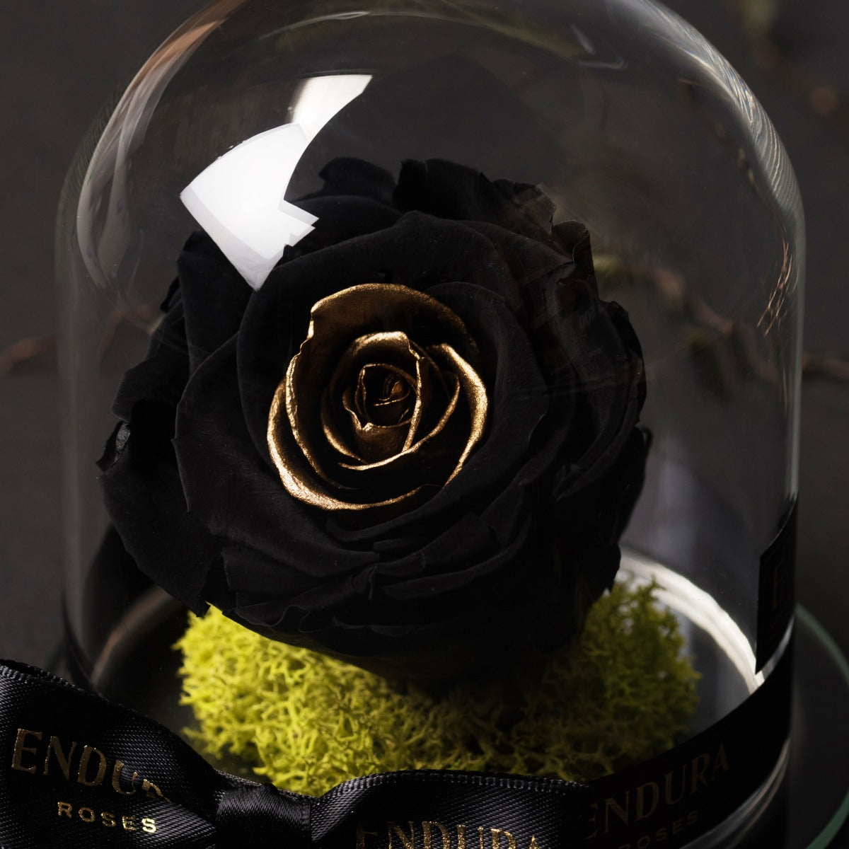 Eternal