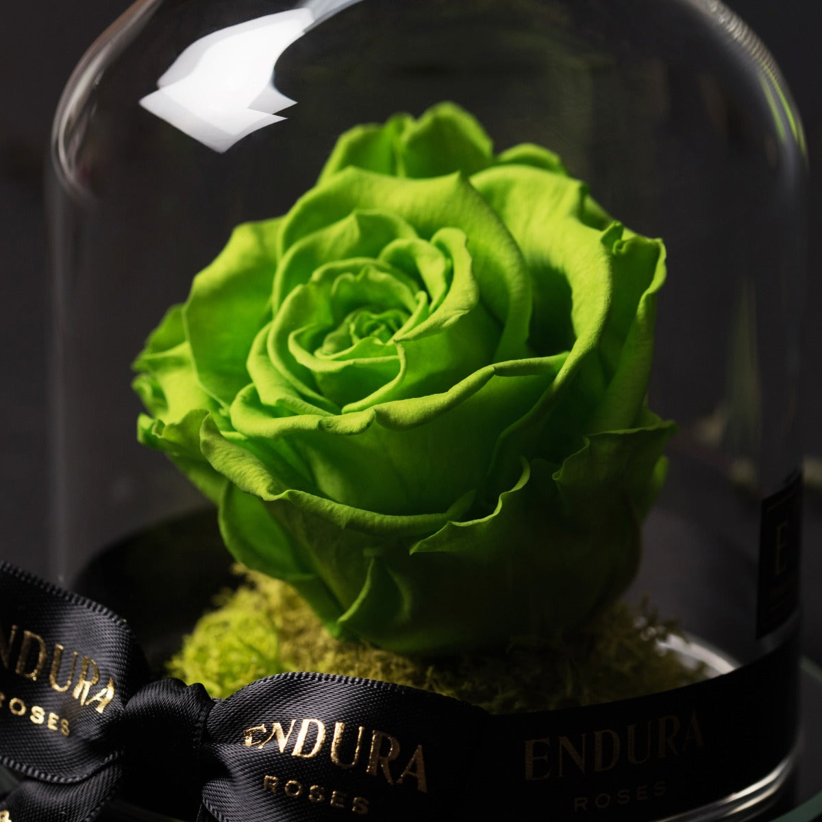Eternal