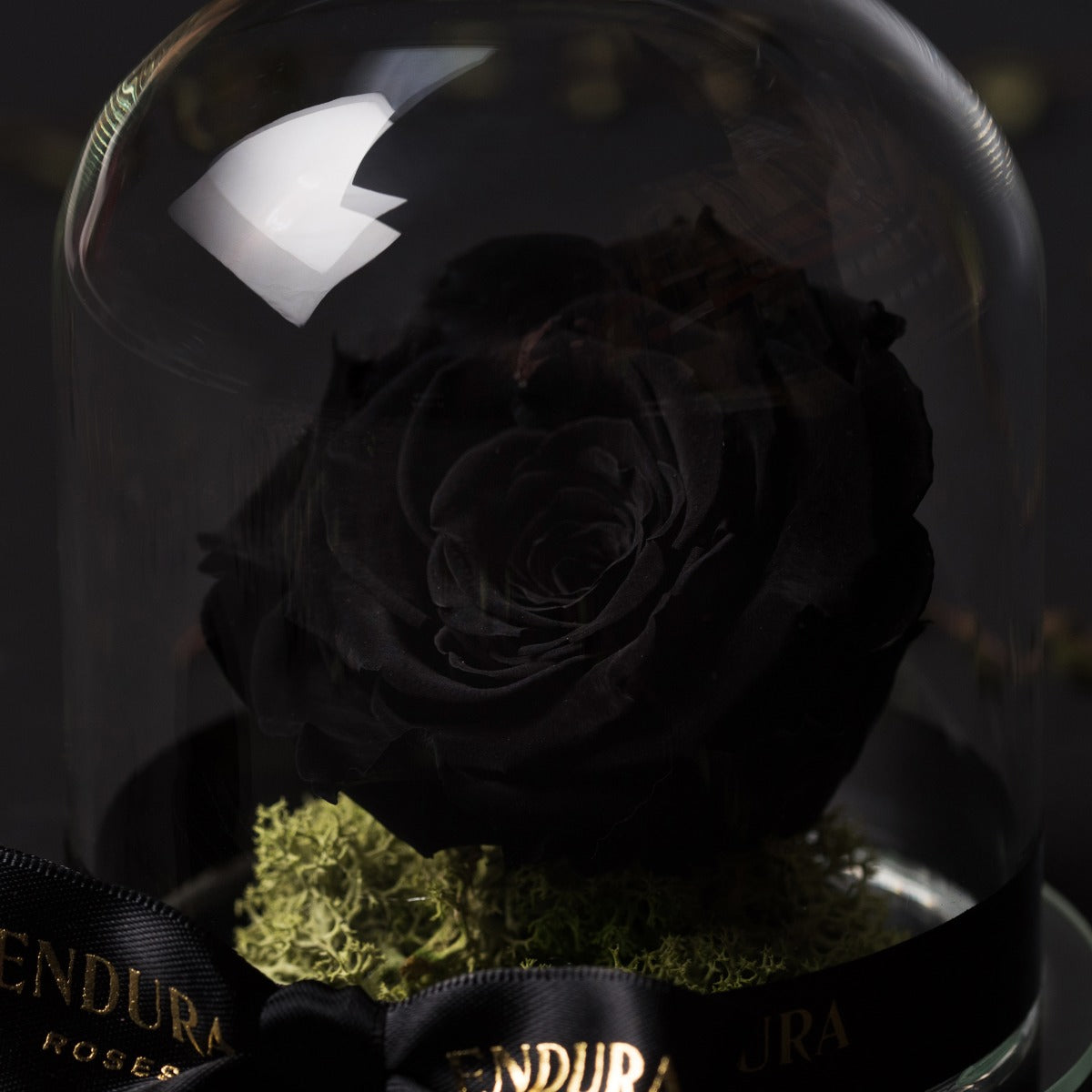 Eternal