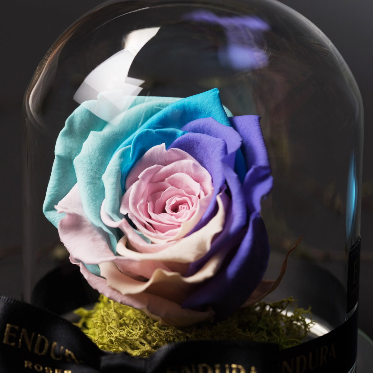 Eternal