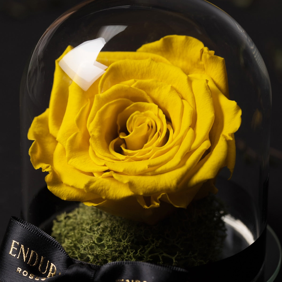 Eternal