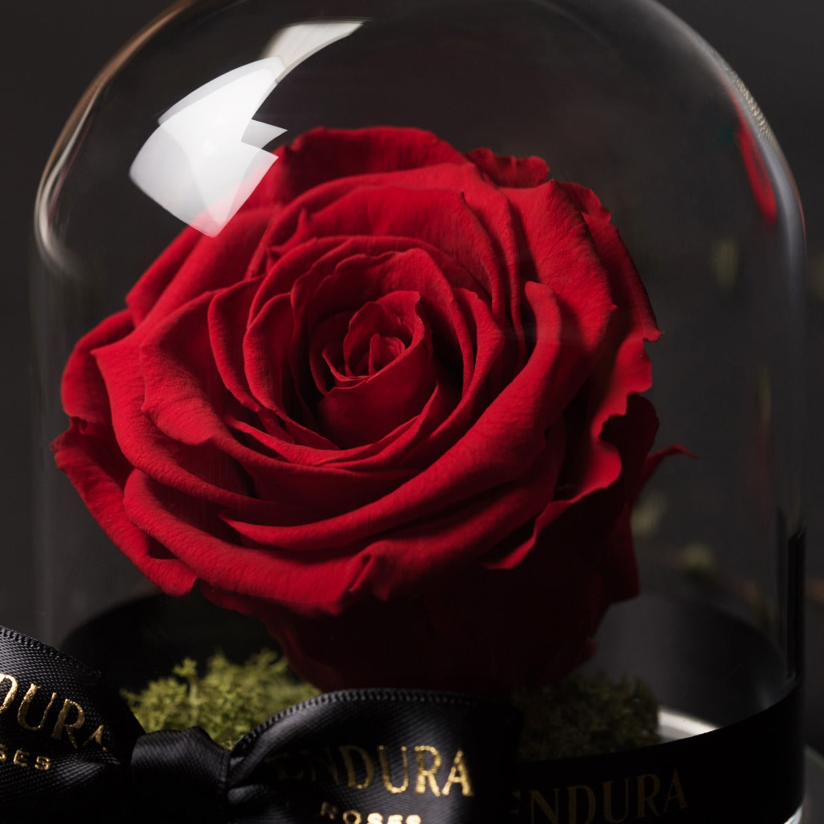 Eternal