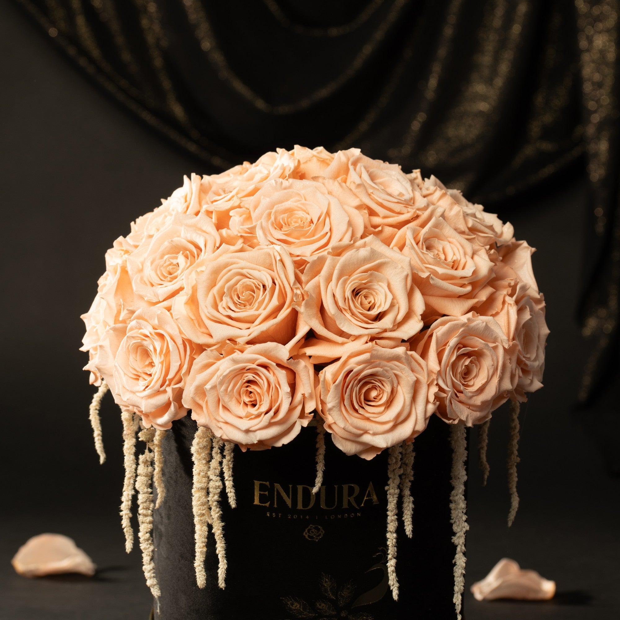Bloom Box