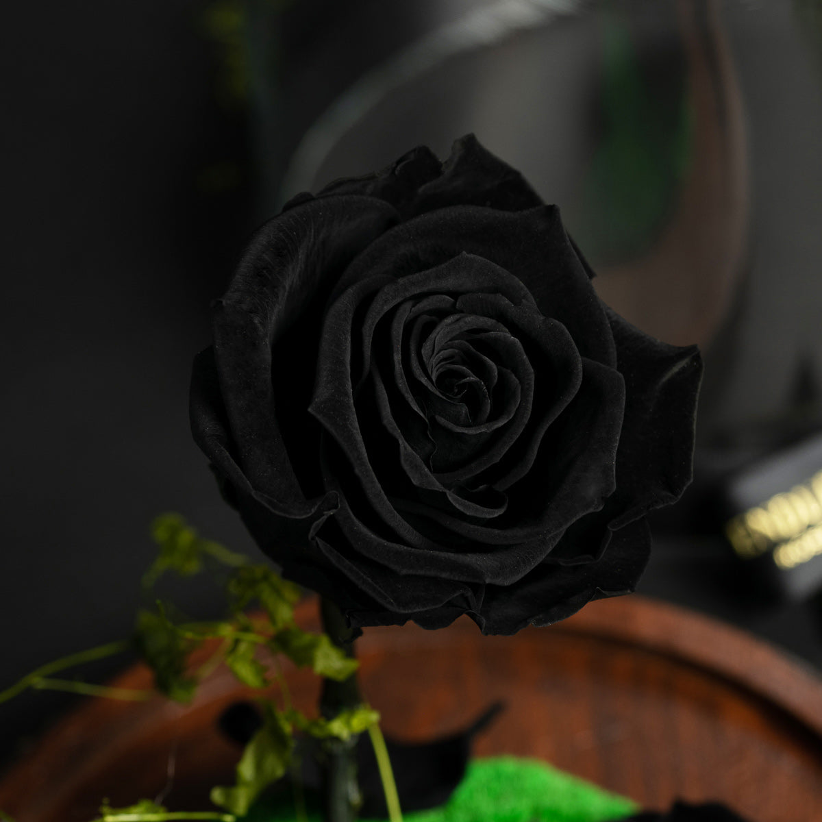 Enchantment