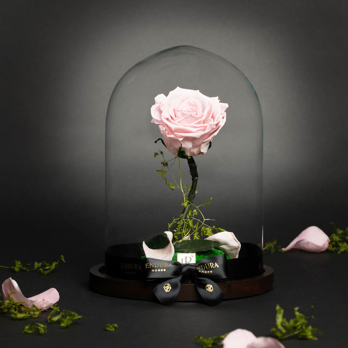 Enchantment