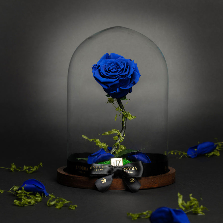 Enchantment - Forever Stem Rose in Glass Dome by Endura Roses