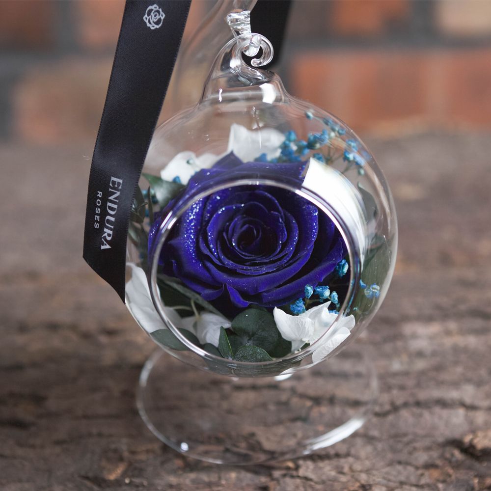 Rose Elegance