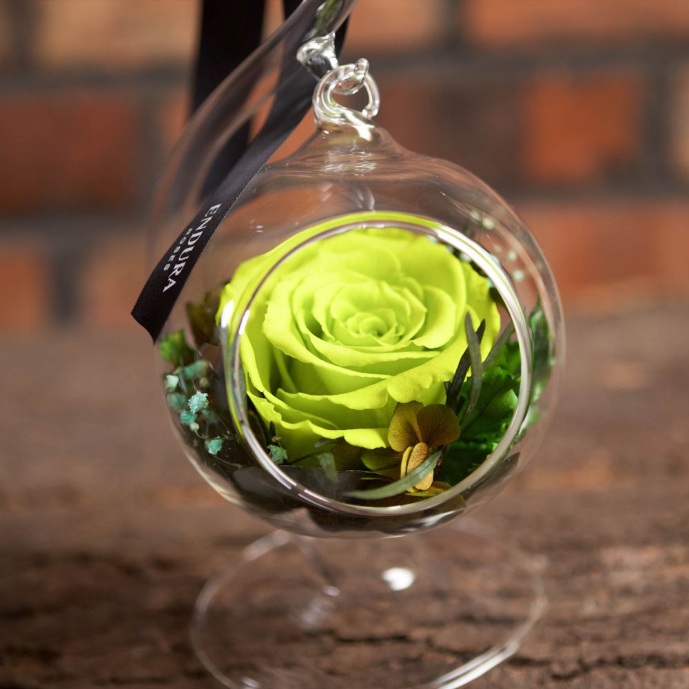 Rose Elegance
